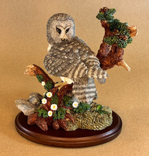 Country Artists Great Grey Owl