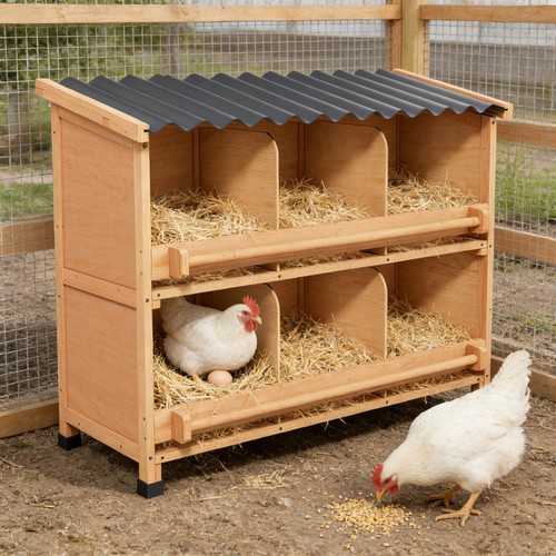 Wooden nesting box - nesting, perch
