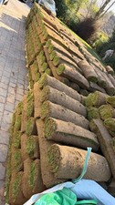 Grass Turf BRAND NEW FRESH