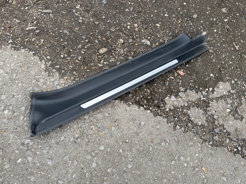 Side trim entry strip - side,