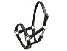 Brown Leather Turnout Halter