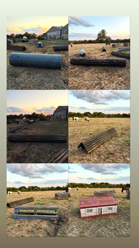 Piece cross country horse - cross-country,