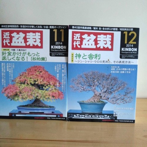 Modern bonsai 2014 novdec set - modern,