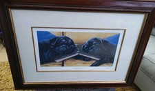 Black Labrador Puppies