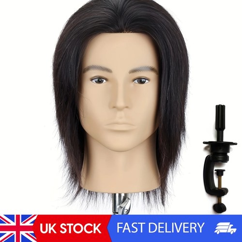 100 human hair - 100%, head