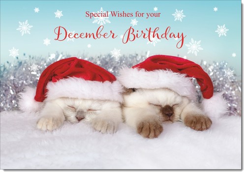 Doodlecards december birthday - december,