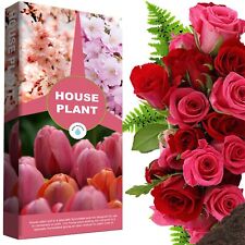 10L Indoor Outdoor House Plant