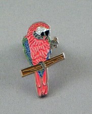 Scarlet macaw parrot - macaw,