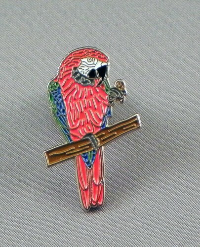 Scarlet macaw parrot bird - macaw,