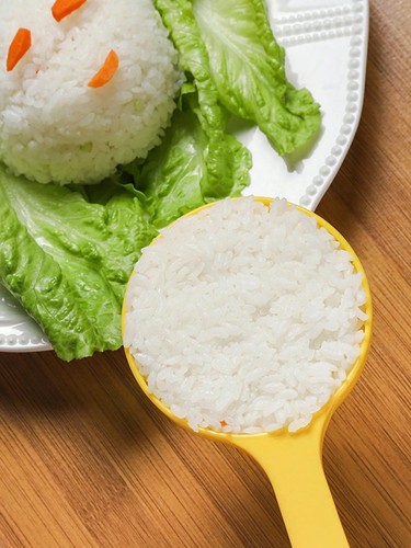 Non stick rice - non-stick, scoop