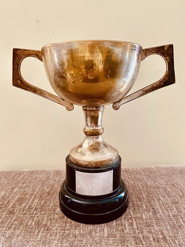 Silver trophy - 🏆, |