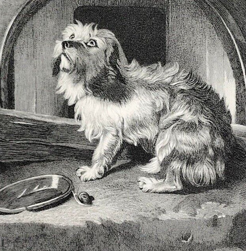 Dog landseer 1878 there s - by,