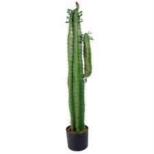 Artificial Cactus Plant