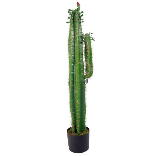 Artificial cactus plant - artificial,