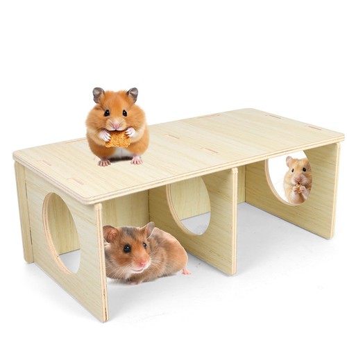 Yasdyri hamster and mouse - yasdyri,