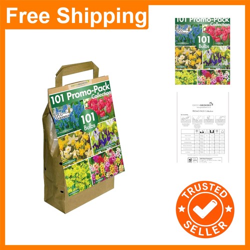 Mixed variety 101 bulb - mixed,