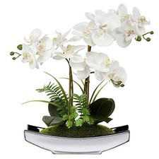 15" Artificial Phalaenopsis