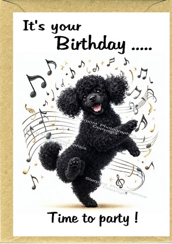 Poodle black dog birthday - black,