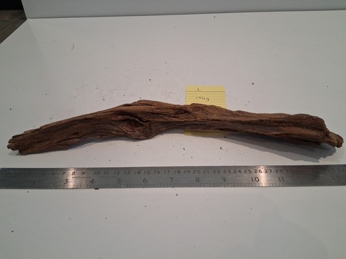 Driftwood bogwood decor - driftwood,