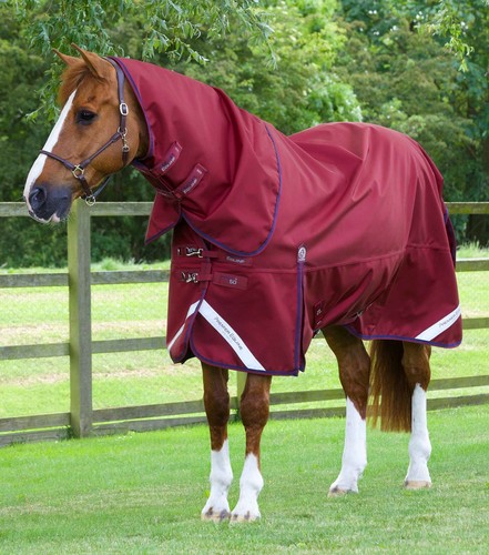 Premier equine titan 50g - premier,