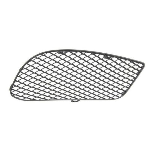 Bumper grille for - grille,