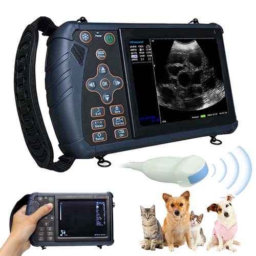 Handheld veterinary ultrasound - veterinary,