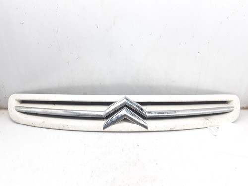 9650059377 front grille