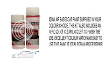 XTREME TOUCH UP PAINT For