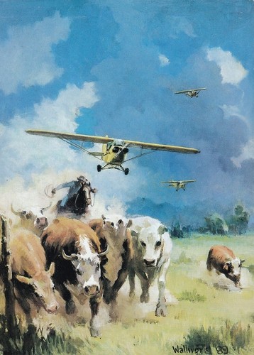 Piper cub aircraft photo - cub,