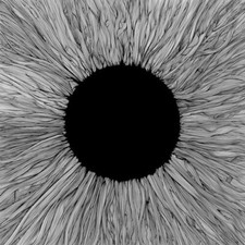 VOLA : Witness CD (2021)