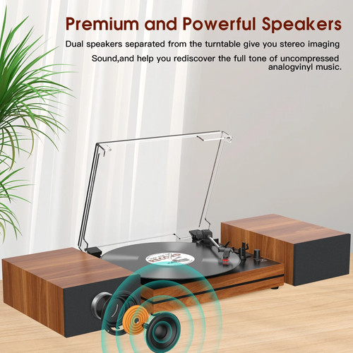 Audio vinyl record - record, with