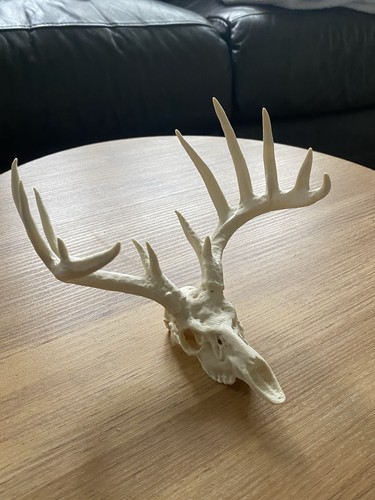 Artificial deer and - and, antlers