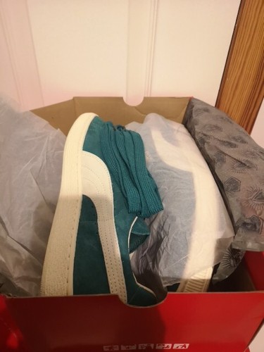 Puma states shadow society - states,