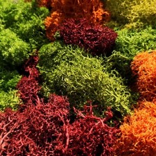 JAVIS Model Railway Lichen -