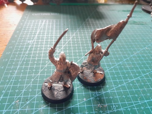 Minas tirith command - minas, captain