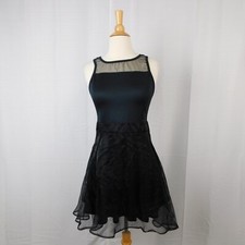 Spirit Halloween Black Organza