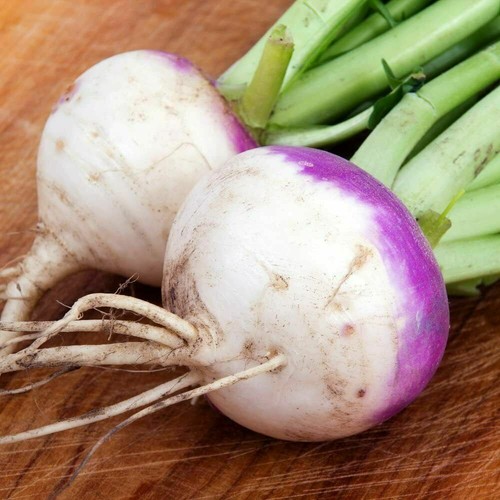 Turnip ronde witte roodkop - witte, de