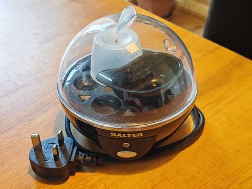 Salter egg cooker electric - egg,