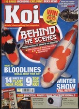 KOI MAGAZINE - Issue 146 May