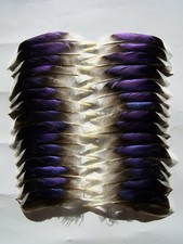 30 Blue Mallard Wing Quill Feathers. Fly Tying, Crafts.