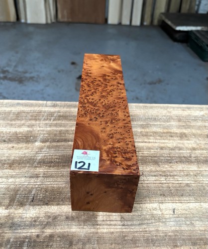 Thuya burr 3 - x, 12”