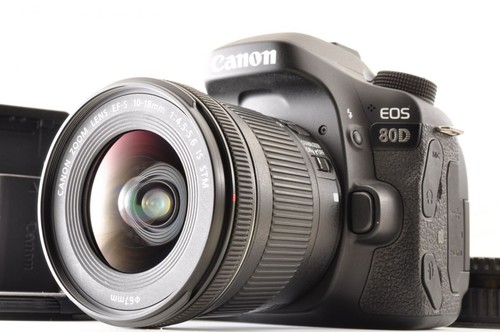 Mint 440shot canon - *mint,