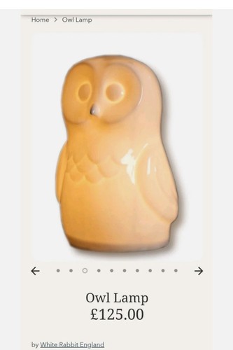 White ceramic owl night - night, /