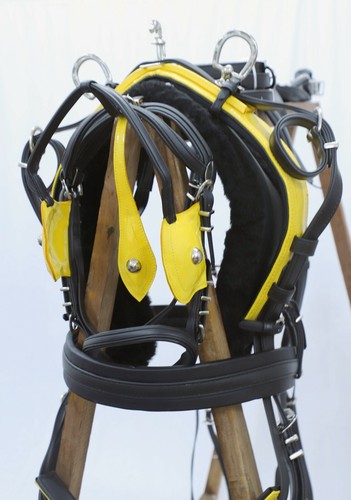 Pvc biothatne tie down - pvc,