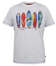 D555 Maui Surf Boards Print