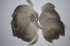 Complete set of Mallard Barred