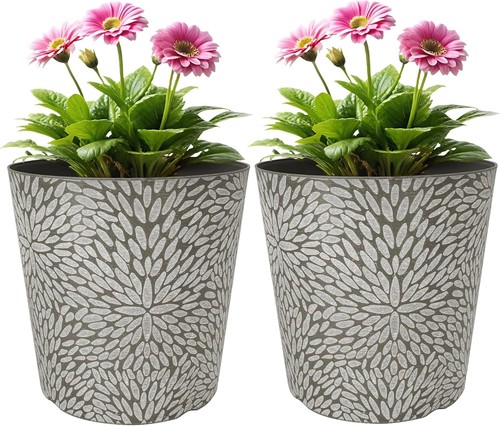Flower indoor outdoor garden - flower,