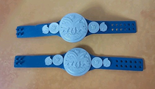 Smackdown tag team - smackdown, belts