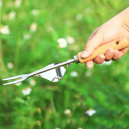 Garden hand weeder - hand, tool