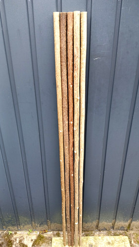 Hazel walking stick - hazel,